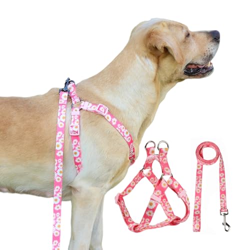 Olahibi Harness and Leash Set, Floral Pattern, 5ft Matching Leash, No Pull, Easy Wear for Medium Dogs.(M, Pink Daisy)