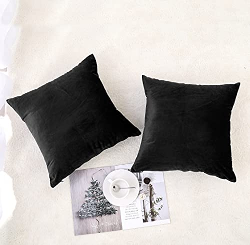 NiNi ALL Decorative Throw Pillow Covers Pack of 2, Velvet Throw Pillow Cases for Couch Pillows Cover Bedroom Living Room O...