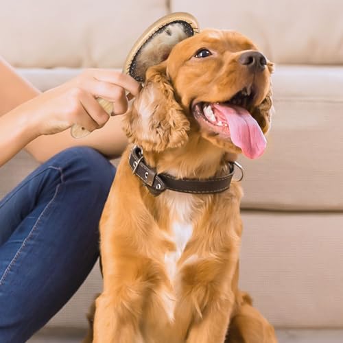 cobee Stainless Steel Pin Dog Brush, Bamboo Handle Grooming Brush 20mm Round Pins Airbag Pet Comb Professional Dog Pin Bru...