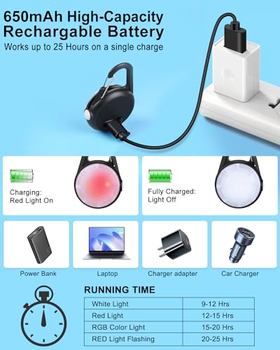 2 Pack Dog Collar Light, 4 Modes Clip On Dog Lights for Night Walking, Glow in the Dark LED Pet Collar Charm, Rechargeable...