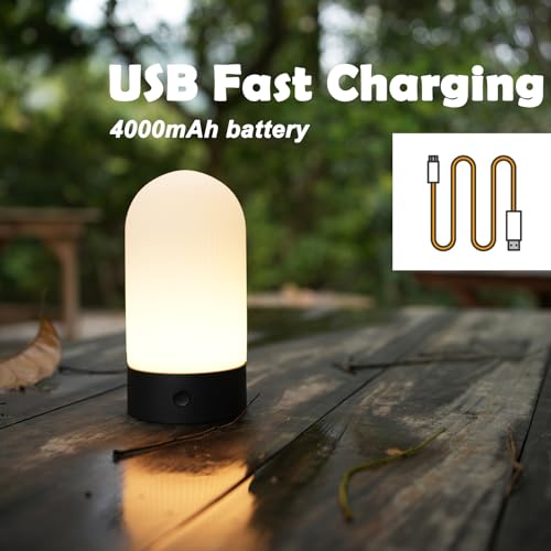WEILAILUX Battery Operated Shower Lamp Waterproof, Small Portable Cordless Table Lamp Rechargeable, Touch Dimmable Mood Li...
