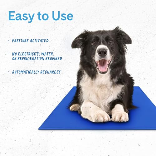 The Green Pet Shop Chillz Gel Mat, Large - Pressure-Activated Cooling Pad for Pets 25-50 lbs - Non-Toxic, No Water or Refr...