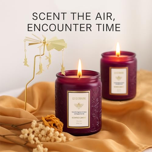 Scented Candles Set for Women, 6 Pack Soy Wax Aromatherapy Candles, Home Fragrance Set for Relaxation Stress Relief, Long ...