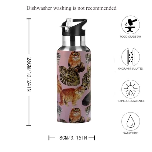 Xinvast Cat Water Bottle Adult Kids With Straw Lid Insulated Stainless Steel Travel Mugs for Sport Gym Outdoor 20oz