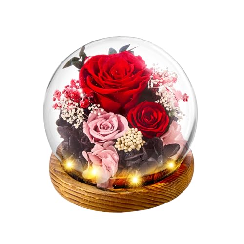 pisyae Forever Flowers Gifts Mom .Birthday Gifts for Women, Preserved Flowers in Glass Fresh Flowers for Delivery Prime re...