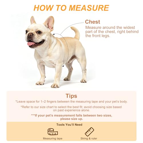 BEAUTYZOO No Pull Linen Dog Harness and Leash Set - Adjustable Step-in Puppy Harness for Small Medium Large Dogs, Escape P...