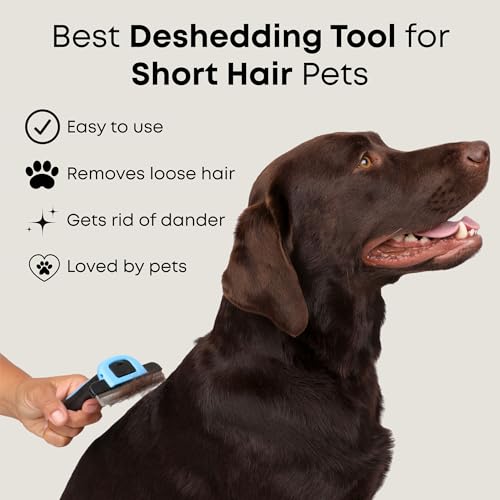 Freshly Bailey Deshedding Brush for Short Haired Dogs & Cats - Cat and Dog Brush for Shedding Short Hair - Highly Effectiv...