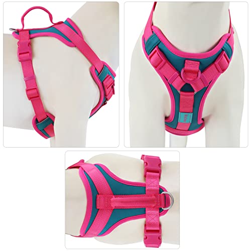 Wolfone No Pull Dog Harness Adjustable Soft Padded Pet Vest with Control Handle Adorable Daily Harness for Dogs（Viridian G...