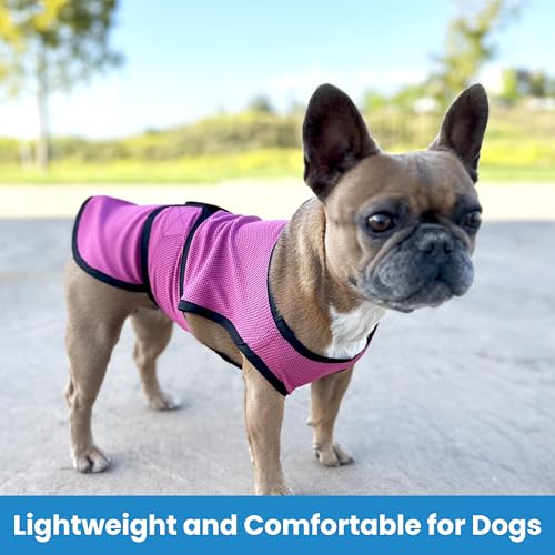 DOGZSTUFF Dog Cooling Vest – Lightweight Evaporative Shirt with UV Protection for Small, Medium, and Large Dogs – Breathab...