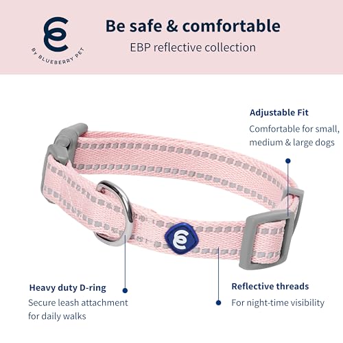 Blueberry Pet Essentials Matching Dog Collar & Leash Set | Pastel Reflective Adjustable Collar with 4 ft Lead for Large Do...