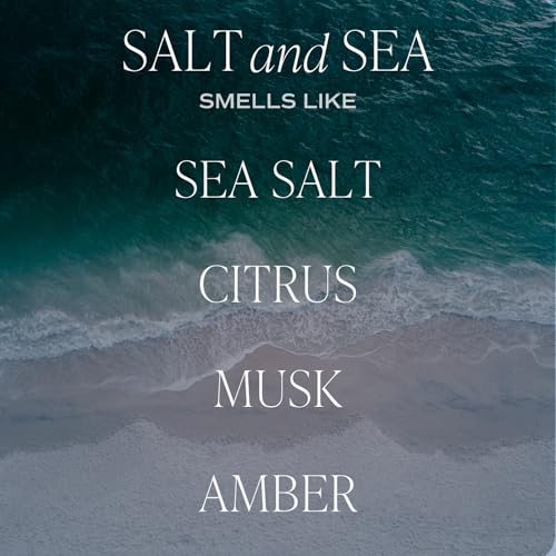 Sweet Water Decor Salt & Sea Reed Diffuser - Sea Salt, Citrus, Musk & Amber Scent - Long-Lasting 4 Month Home Fragrance, N...