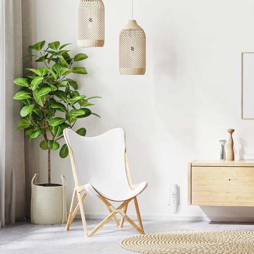 Scentify Plug-in Diffuser V2 - for Home, Office, Spa - Aromatherapy Bluetooth App Control - Waterless Quiet Aroma Essentia...