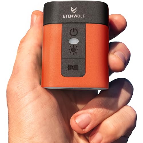 ETENWOLF AIR 3 Air Pump for Inflatables with 2600 mAh Battery & Camping Light, Ultra-Fast and Mini Electric Air Pump, Infl...