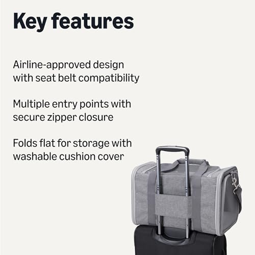 Amazon Basics Soft Cat & Dog Carrier with Adjustable Shoulder Strap, Airline-Approved, Foldable and Portable Design, Mesh ...