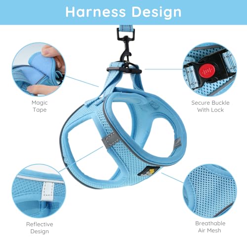 BELLA & PAL Step in Vest Harness for Small and Medium Dogs, No Pull Small Dog Harness with Leash Set, Comfortable Air Mesh...