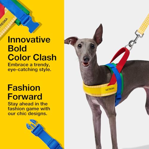 VETRESKA MoMA Dog Harness and Leash Set, Easy Walk Dog Harness for Small Medium Dogs, No Pull Puppy Harness for Walking an...