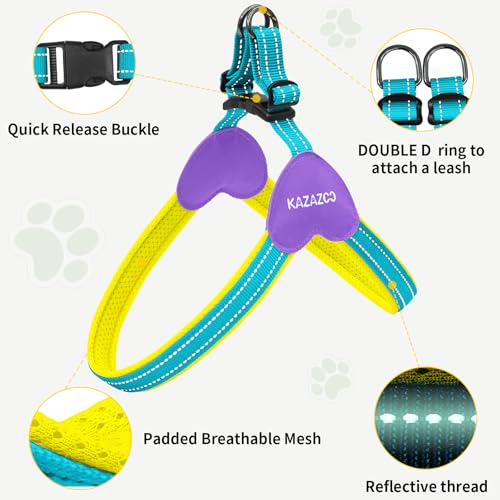 Kazazoo No Pull Small Dog Harness and Leash Set, Adjustable Puppy Soft Vest Harness with Breathable Mesh Padded, Reflectiv...