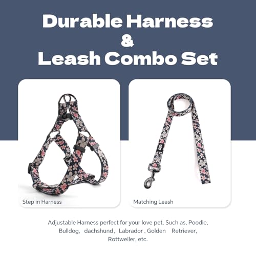 QQPETS Dog Harness Leash Set Adjustable Heavy Duty No Pull Halter Harnesses for Small Medium Large Breed Dogs Back Clip An...