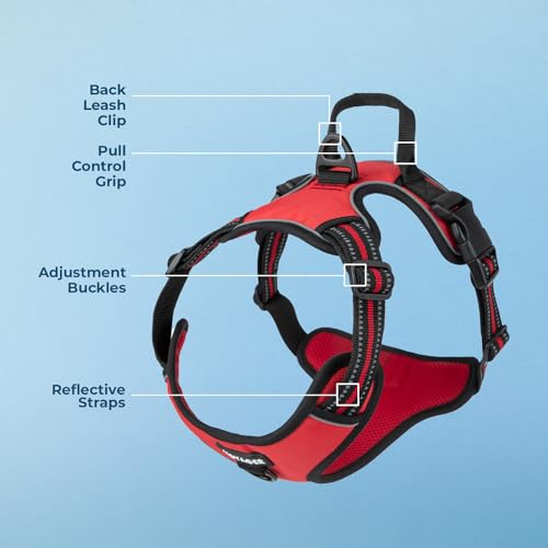 Voyager Dog Harness Dual Leash Attachment No-Pull Control Adjustable Soft but Strong Pet Harness for Medium and Large Dogs...