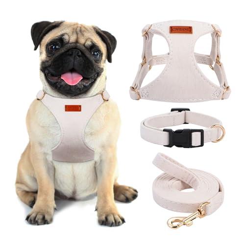 No Pull Dog Harness- Lightweight, Soft, Adjustable Small Harness Collar and Leash Set, Suitable for Cats Puppy Small and M...