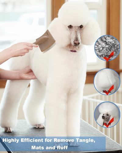 Petqueen Dog Slicker Brush for Large Dogs, Professional Doodles Brush for Poodles, Goldendoodles and Labradoodles - Easy t...