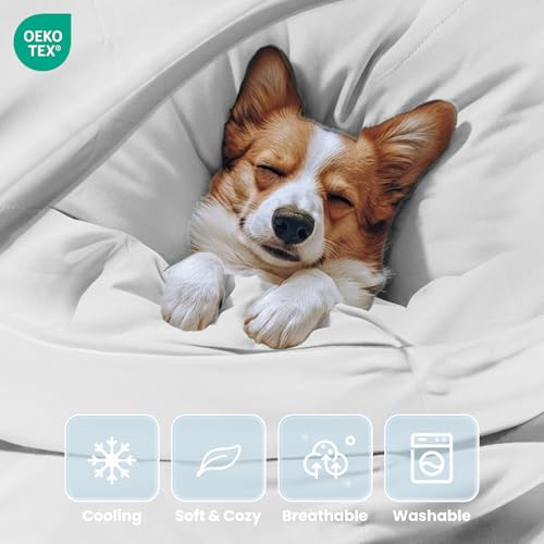 Mora Pets Premium Cooling Blanket for Dogs, Q-MAX>0.5 Washable Breathable Cooling Mat, Lightweight Soft Summer Pet Throw B...