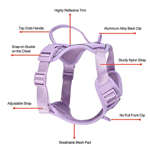 Petmolico Dog Harness for Small Dogs, Cute Harness Vest with Two Leash Clips and Soft Handle, Reflective Easy Walk Puppy V...