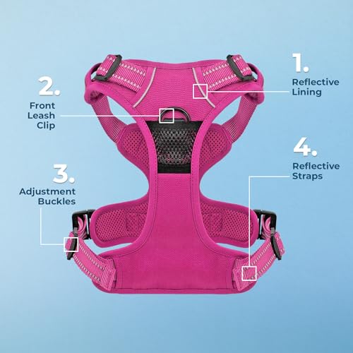 Voyager Dog Harness Dual Leash Attachment No-Pull Control Adjustable Soft but Strong Pet Harness for Medium and Large Dogs...