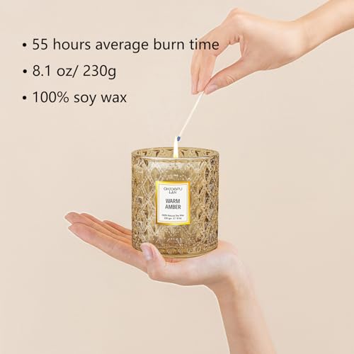 Chloefu LAN Amber Candles, Luxury Candle for Home Scented, Long Burning Time, Holiday Gifts, All Natural Soy Wax Decorativ...
