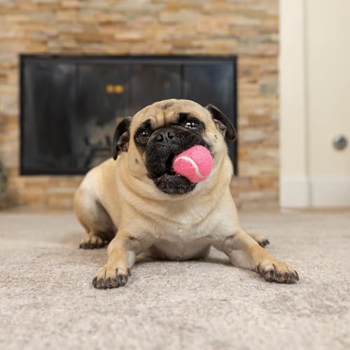 Hyper Pet MINI Tennis Balls for Dogs (Safe Dog Ball Tennis Balls for Exercise & Training) Interactive Toys work with Hyper...