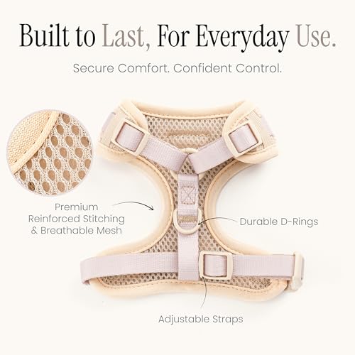 MAISON MALIBU Embroidered Matching Dog Harness and Leash Set with Poop Bag – No Pull, Adjustable, Padded, Breathable Harne...