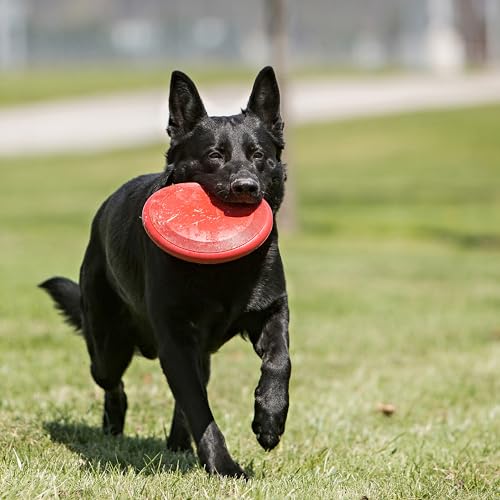 KONG Flyer - Durable Dog Toy for Outdoor Playtime - Natural Rubber Flying Disc, Dog Toy for Fetch - Safer Disc for Healthy...