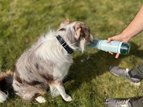 Waggle Bottle Stainless Steel Dog Travel Water Bottle, Vacuum Insulated Portable Dog Water Dispenser, Large Bottle with Dr...