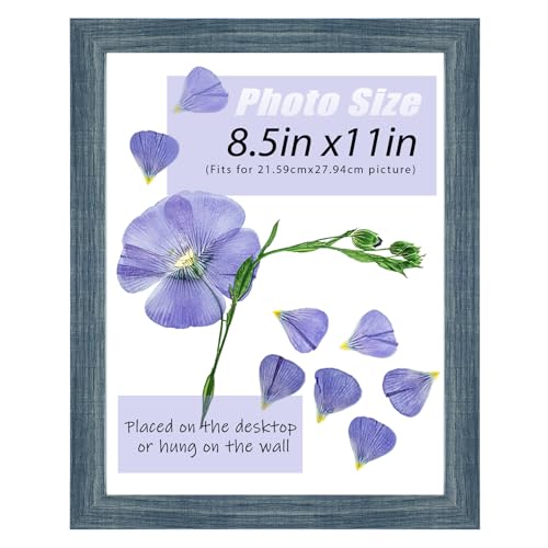 Frametory, 8.5x11 Picture Frame with Glass, Tabletop & Wall Horizontal or Vertical Display, 8 1/2 x 11 Photo Frame for Dip...
