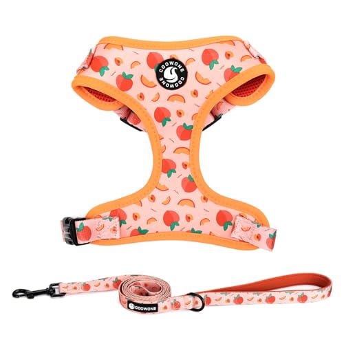Dog Harness and Leash Set, Adjustable Dog Harness, Dog Leash, No Pull No Choke Puppy Harnesses for Walking Training for Sm...
