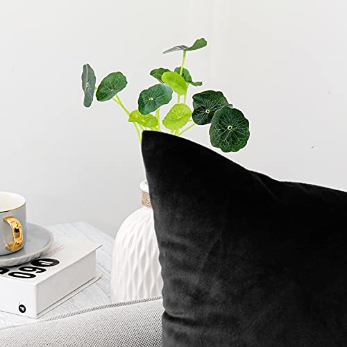 NiNi ALL Decorative Throw Pillow Covers Pack of 2, Velvet Throw Pillow Cases for Couch Pillows Cover Bedroom Living Room O...
