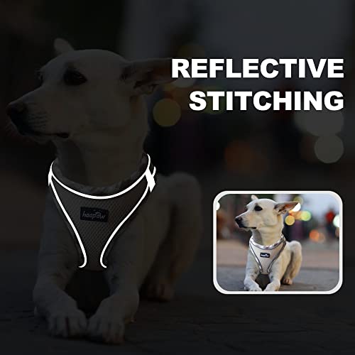 haapaw Dog Harness with Leash Set, No Pull Adjustable Reflective Step-in Puppy Harness with Thickened Padded Vest for Extr...