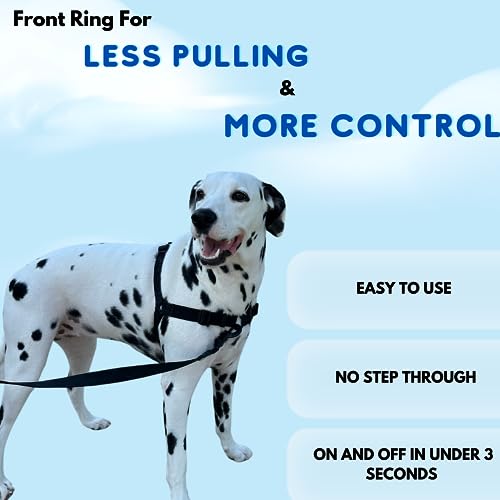 ShawnCo Dream Walk No-Pull Dog Harness- Adjustable, Comfortable, Easy to Use Pet Halter to Help Stop Pulling for Small, Me...