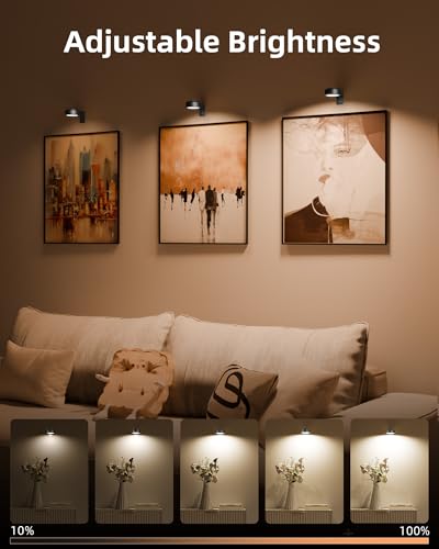 EZVALO Picture Lights for Wall, 2000mAh Rechargeable Battery Magnetic Poster Lights with 3 Color Temps & 12 RGB, Remote Di...
