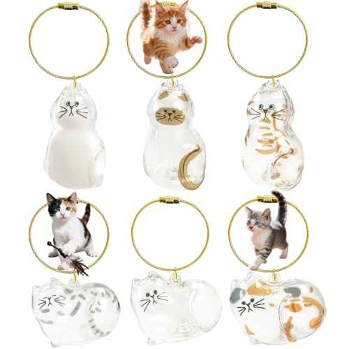 floofelove 6PCS Cat Fur Keepsake Storage Bottle - Pet Memorial Gifts for Cats Transparent Cat Hair Keychain Collection Dog...