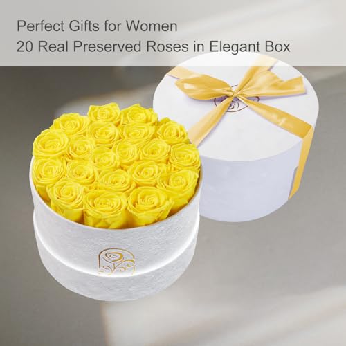 Gifts for Women Preserved Roses Flower Box, Luxury Velvet Box with 20 Roses, Preserved Flowers, Romantic Gift for Her, Wif...