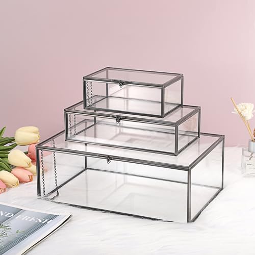 Hipiwe Glass Keepsakes Display Box with Lid - Decorative Black Glass Box Clear Rectangle Storage for Trinket Perfume Cards...