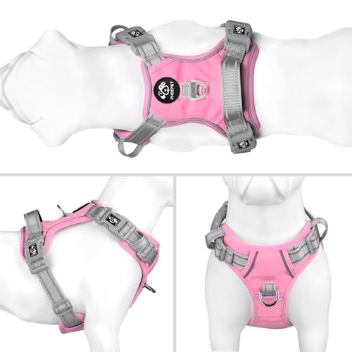 PHOEPET No Pull Dog Harness, Unique Colors Reflective Adjustable Dog Vest, with Soft Training Handle Metal Clips for Small...