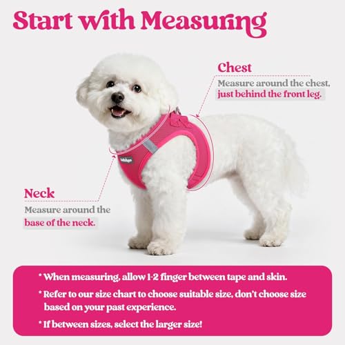 rabbitgoo Dog Harness Small Sized and Leash Set, Step in Soft Light Puppy Vest, Breathable Mesh Pet Harness, Reflective fo...