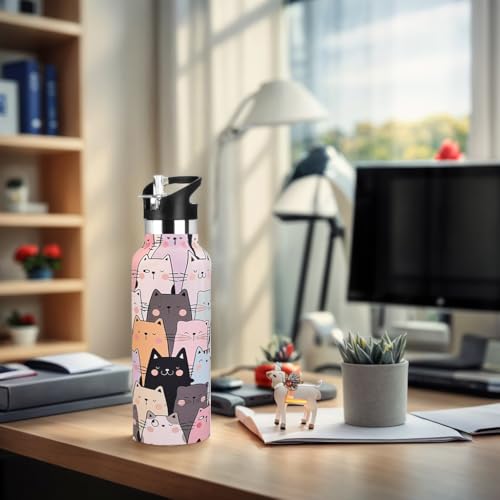 Cat Water Bottle Adult Kids With Straw Lid Insulated Stainless Steel Travel Mugs for Sport Gym Outdoor 20oz