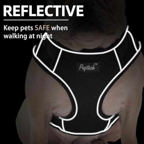 PUPTECK Small Dog Harness and Leash Set, No Pull Adjustable Puppy Cat Harness, Reflective Soft Mesh Pet Vest Small Sized, ...