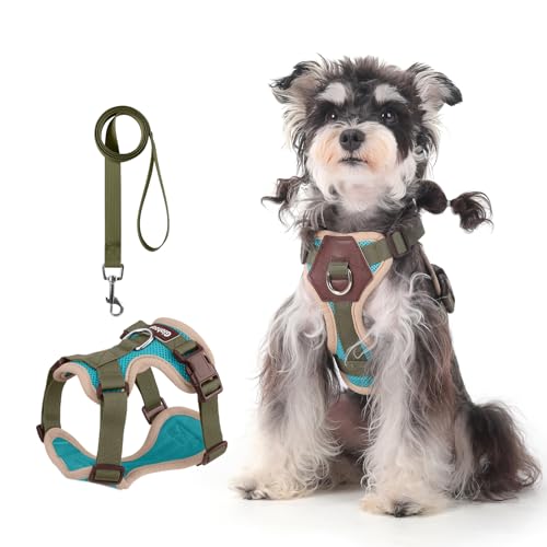 Small Dog Harness and Leash Set, Breathable Mesh Puppy Harness, Adjustable Dog Harness for Small Medium Large Dogs, No-Pul...