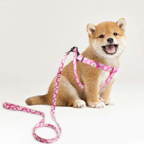 QQPETS Dog Harness Leash Set Adjustable Heavy Duty No Pull Halter Harnesses for Small Medium Large Breed Dogs Back Clip An...