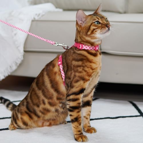 azuza Cat Harness and Leash Set for Safe Walking and Travel, Escape Proof Cat Harness, Lightweight Soft and Comfortable, A...