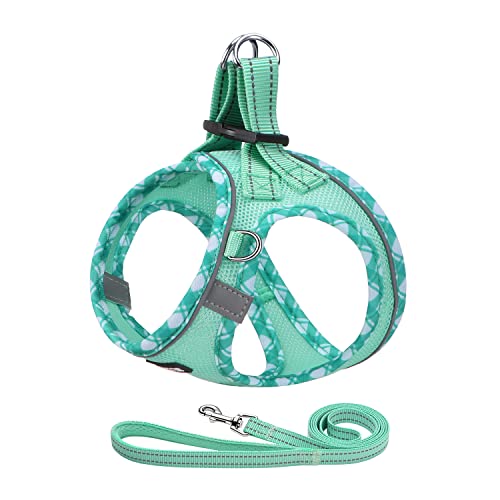AMTOR Dog Harness with Leash Set,Upgrade No Pull Reflective Step-in Air All Weather Puppy Harness with Padded Vest for Sma...